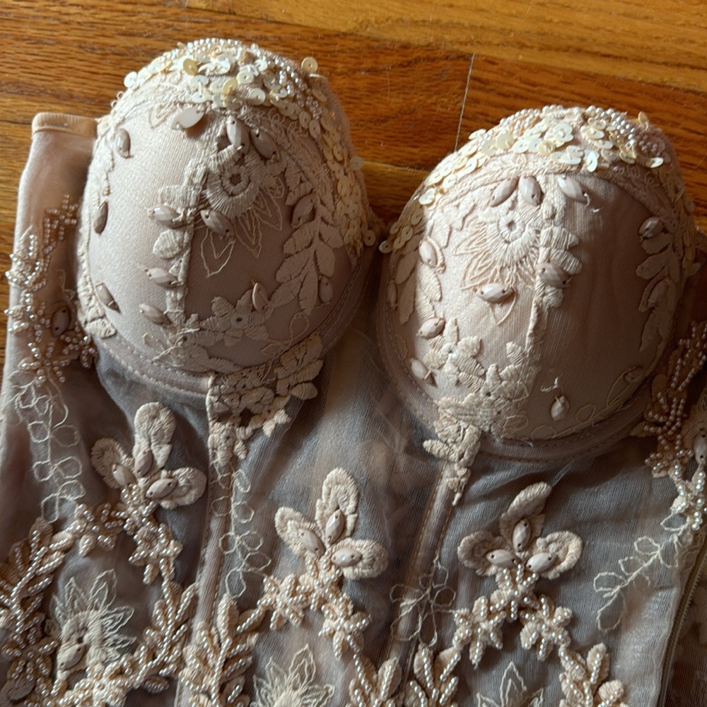 Blush Mesh Beaded Bustier - Picture 2 of 4